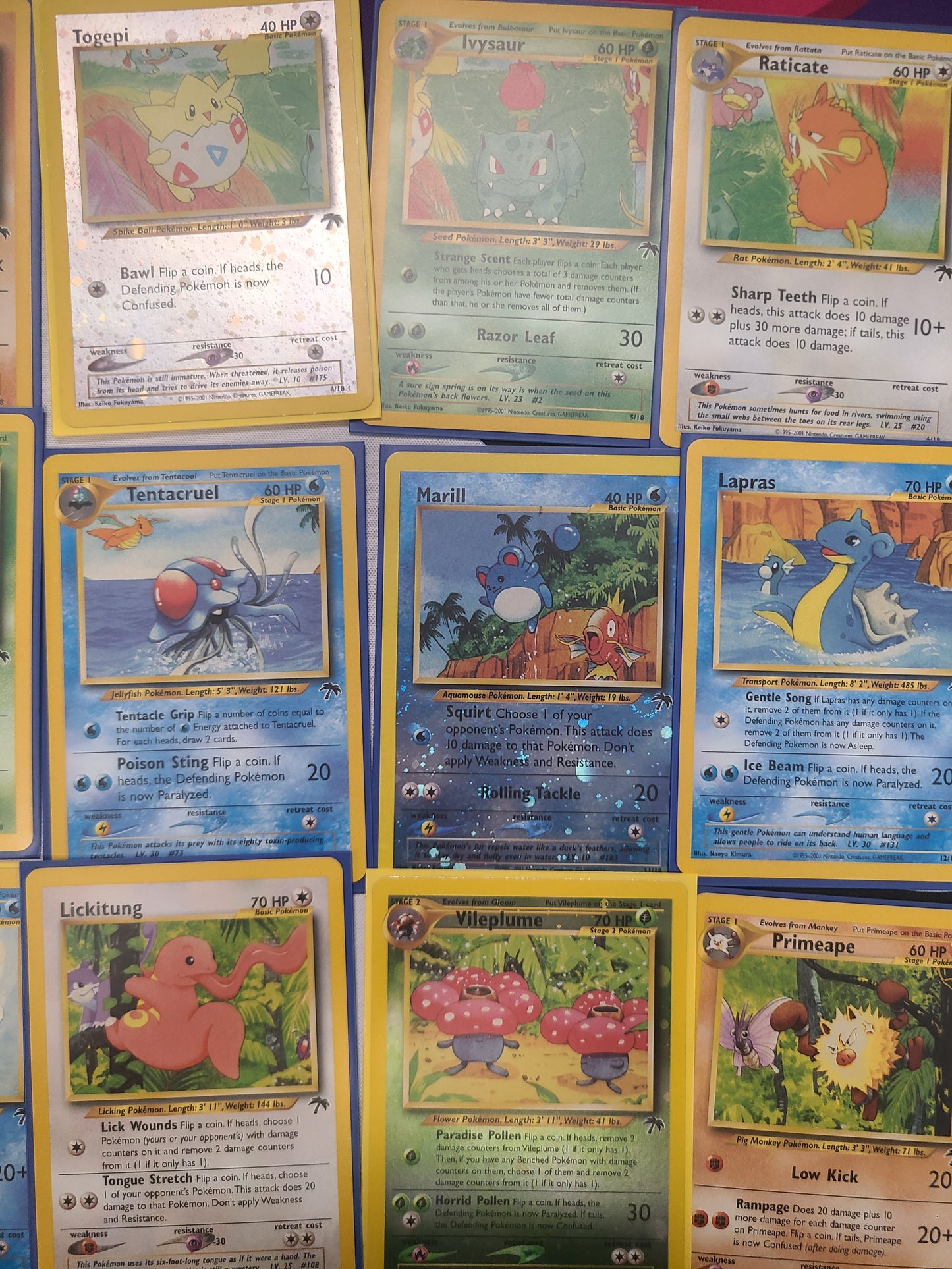 Southern Islands Complete English Set
