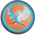 Shippin Texas logo
