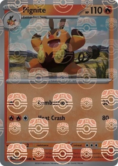Pignite (Master Ball Pattern)