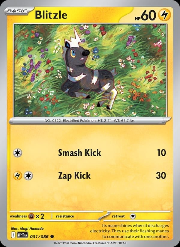 Blitzle (Poke Ball Pattern) [WHT - 031/086] - Shippin Texas