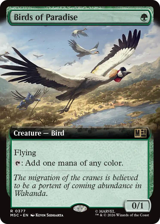 Birds of Paradise (Extended Art)