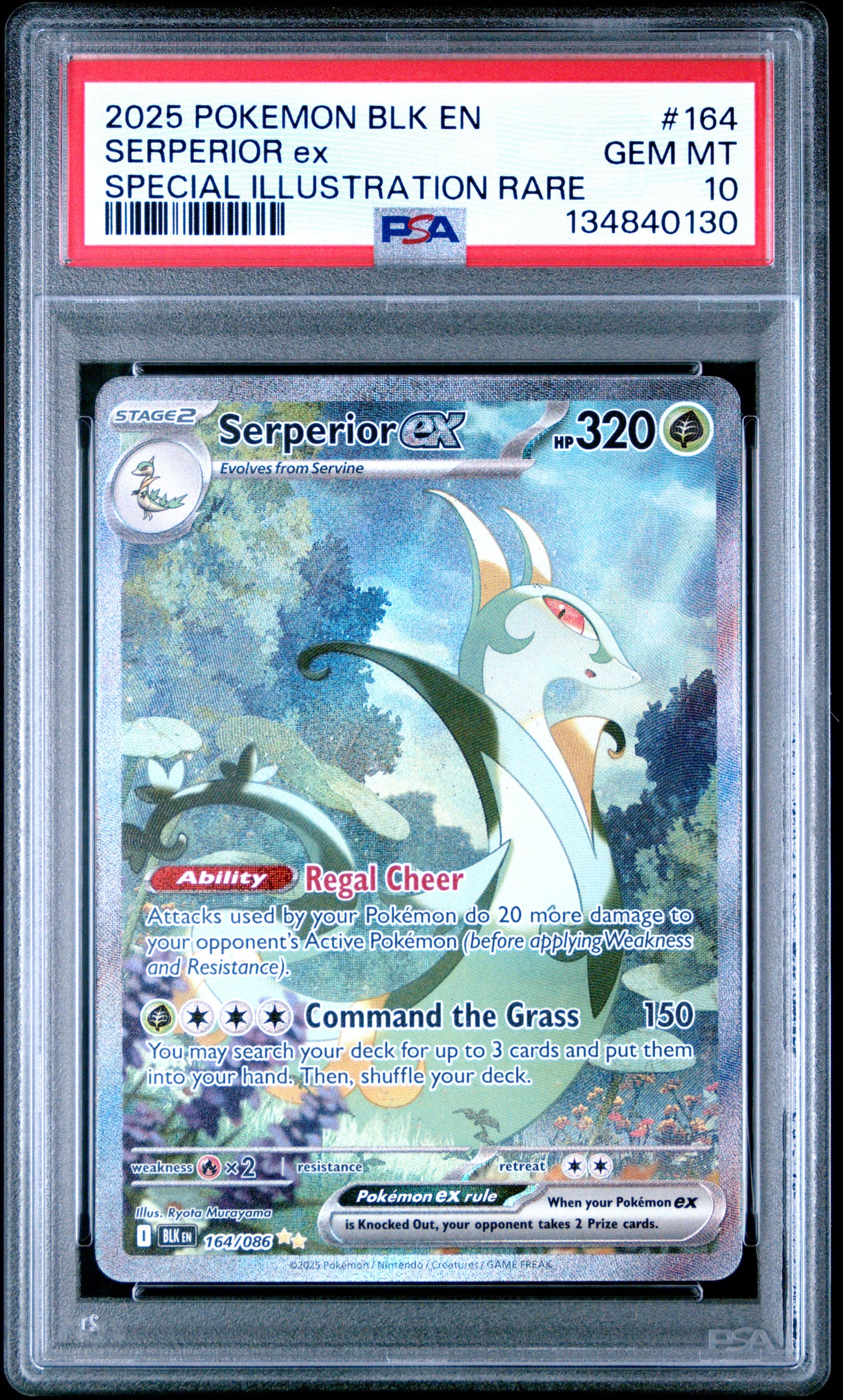 2025 POKEMON BLK EN-BLACK BOLT | SPECIAL ILLUSTRATION RARE #164 SERPERIOR EX | PSA 10